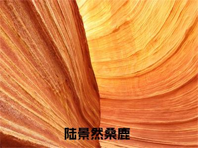 （陆景然桑鹿）抖音陆景然桑鹿小说阅读完结版-陆景然桑鹿小说全文免费阅读