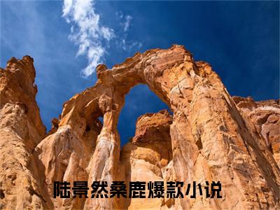 陆景然桑鹿（陆景然桑鹿）小说大结局-小说（陆景然桑鹿）免费阅读陆景然桑鹿