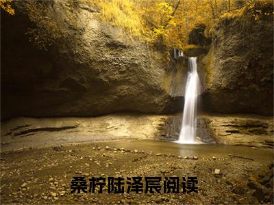 桑柠陆泽宸全文免费阅读无弹窗大结局_（桑柠陆泽宸在线阅读）桑柠陆泽宸最新章节完整版阅读