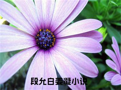 段允白姜凝免费阅读（段允白姜凝）全文免费阅读无弹窗大结局_段允白姜凝免费阅读最新章节列表_笔趣阁