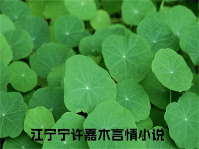 江宁宁许嘉木免费小说-江宁宁许嘉木已更新最新章节