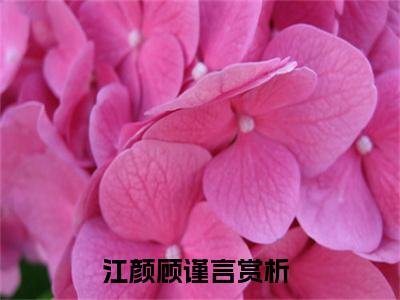 （江颜顾谨言）全文无弹窗阅读-小说主角叫什么江颜顾谨言