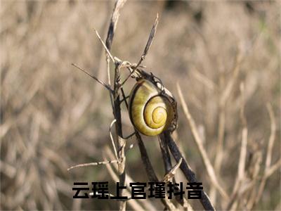 农门稻花香小说全文免费阅读无弹窗大结局-云瑶上官瑾 小说在哪里可以看