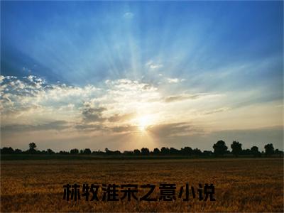 （林牧淮宋之意小说）全文免费阅读无弹窗大结局_（林牧淮宋之意阅读无弹窗）林牧淮宋之意小说章节列表