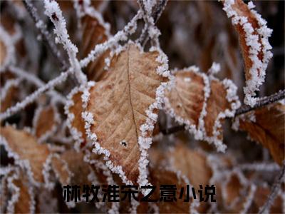 林牧淮宋之意（林牧淮宋之意小说）全文免费阅读无弹窗大结局_（林牧淮宋之意无弹窗）