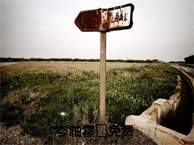 岑柚霍昇（岑柚霍昇）最新免费阅读-岑柚霍昇小说在线阅读