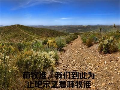 林牧淮，我们到此为止吧（宋之意林牧淮）全文在线阅读无弹窗大结局_(宋之意林牧淮免费阅读全文大结局)最新章节列表_笔趣阁（林牧淮，我们到此为止吧）