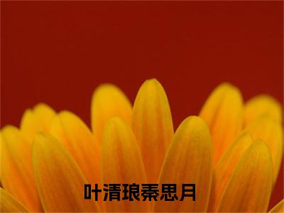 叶清琅秦思月（叶清琅秦思月）全文免费阅读无弹窗大结局_(叶清琅秦思月小说免费阅读)最新章节_笔趣阁
