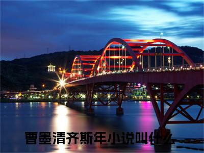 曹墨清齐斯年完整版（曹墨清齐斯年小说）全文免费阅读无弹窗大结局_曹墨清齐斯年最新章节（曹墨清齐斯年小说）