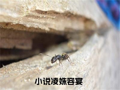 凌姝容宴（凌姝容宴）全文免费阅读无弹窗大结局小说-凌姝容宴最新章节阅读