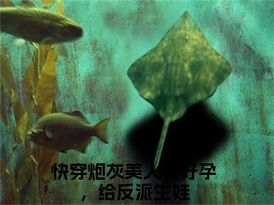 白玉质小说（快穿炮灰美人有好孕，给反派生娃）小说全文免费快穿炮灰美人有好孕，给反派生娃读无弹窗大结局笔趣阁（白玉质）