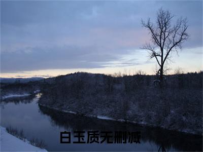 快穿炮灰美人有好孕，给反派生娃（白玉质）全文免费阅读-（白玉质无弹窗阅读）最新章节小说免费阅读