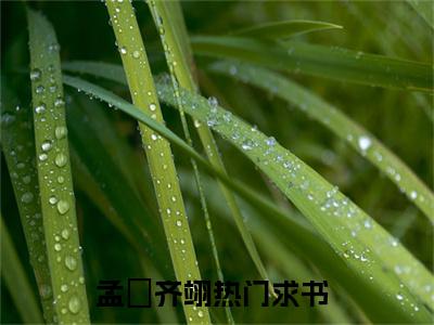 小说孟姮齐翊（孟姮齐翊）最新章节免费阅读-（孟姮齐翊）小说全文无删减版