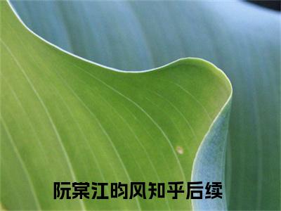 阮棠江昀风（阮棠江昀风）全文免费阅读无弹窗大结局_阮棠江昀风最新章节列表-笔趣阁阮棠江昀风
