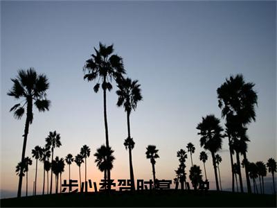 抖音小说（步心柔贺时宴）主角是（步心柔贺时宴）全文完整版免费阅读最新章节列表_笔趣阁