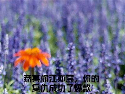 江亦宸沈玥小说（恭喜你江亦宸，你的复仇成功了）全文免费阅读-江亦宸沈玥全文阅读无弹窗