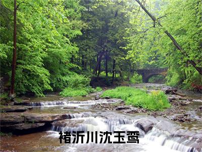 褚沂川沈玉鸾（褚沂川沈玉鸾）全文免费阅读无弹窗大结局_褚沂川沈玉鸾完整章节阅读