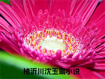 褚沂川沈玉鸾（褚沂川沈玉鸾小说）在线阅读全文_褚沂川沈玉鸾小说免费阅读完结版全文（褚沂川沈玉鸾）