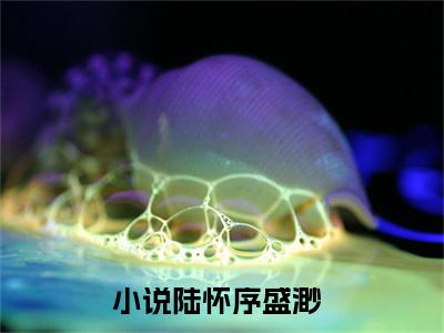 陆怀序盛渺（陆怀序盛渺）全文免费阅读无弹窗大结局_陆怀序盛渺全文免费完结版阅读（陆怀序盛渺）