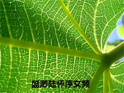 盛渺陆怀序是什么小说，盛渺陆怀序（盛渺陆怀序）完整章节在线阅读