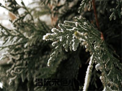 温阮宋恒最新章节小说推荐阅读-新书温阮宋恒精彩片段阅读
