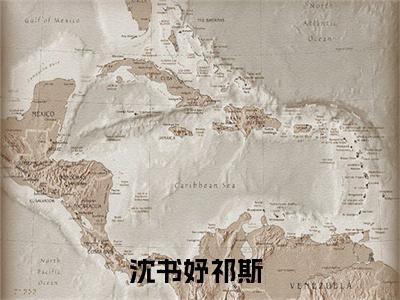 沈书妤祁斯全文免费阅读无弹窗大结局-沈书妤祁斯全文在线阅读