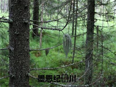 墨恩纪璟川全文小说（墨恩纪璟川）-完结版热文墨恩纪璟川小说免费阅读