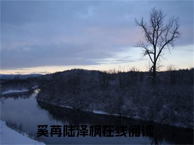 主角为奚苒陆泽枫的小说叫什么-最新小说全文阅读
