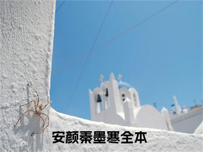 安颜秦墨寒小说免费大结局全集免费阅读 安颜秦墨寒章节目录
