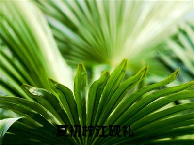 夏初柠江砚礼（夏初柠江砚礼)全文免费阅读无弹窗大结局_夏初柠江砚礼最新章节列表_笔趣阁