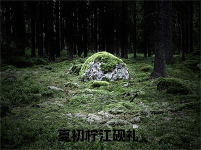 主角叫夏初柠江砚礼的小说在哪阅读夏初柠江砚礼是主角的小说