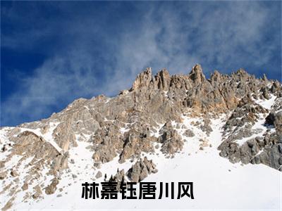 林嘉钰唐川风知乎高赞小说阅读 林嘉钰唐川风无弹窗在线免费阅读