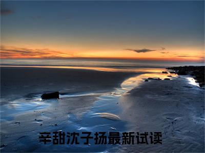 辛甜沈子扬全文免费阅读-（辛甜沈子扬）小说全文免费阅读正版无弹窗