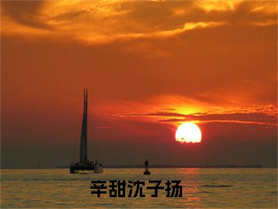 高赞小说（辛甜沈子扬小说免费阅读）完结阅读，辛甜沈子扬在线阅读