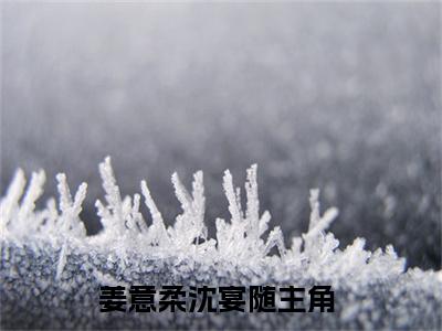 姜意柔沈宴随(姜意柔沈宴随)全文免费姜意柔沈宴随读无弹窗大结局_ 姜意柔沈宴随无弹窗最新章节列表_笔趣阁
