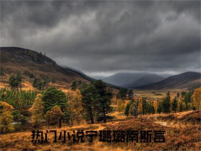 宁璐璐南斯言小说最新章节（宁璐璐南斯言）全文免费阅读无弹窗大结局_宁璐璐南斯言免费阅读（宁璐璐南斯言小说）