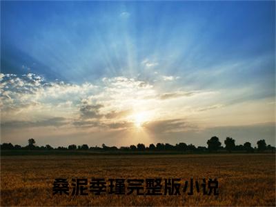 桑泥季瑾小说小说全文免费阅读（桑泥季瑾）全文免费桑泥季瑾读无弹窗大结局