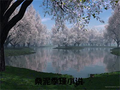 桑泥季瑾（桑泥季瑾）最新章节阅读-（桑泥季瑾）免费阅读大结局无弹窗