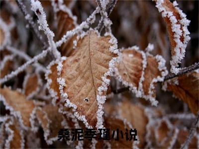 （桑泥季瑾）是什么小说-（桑泥季瑾）全文免费阅读无弹窗大结局（桑泥季瑾）最新章节列表_笔趣阁