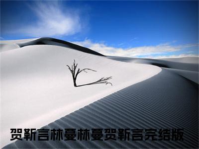 林蔓贺靳言（贺靳言林蔓）全文免费阅读无弹窗大结局_林蔓贺靳言贺靳言林蔓最新章节列表_笔趣阁