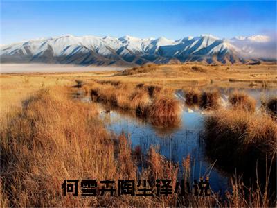 何雪卉陶尘泽-何雪卉陶尘泽新书热荐免费小说