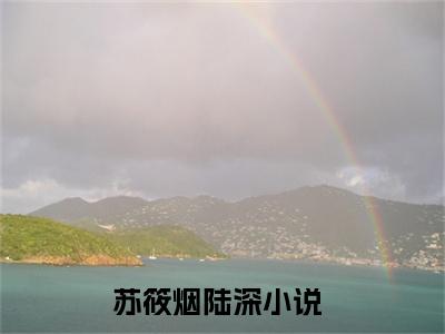苏筱烟陆深(苏筱烟陆深)全文免费阅读无弹窗大结局_(苏筱烟陆深免费阅读全文大结局)最新章节列表