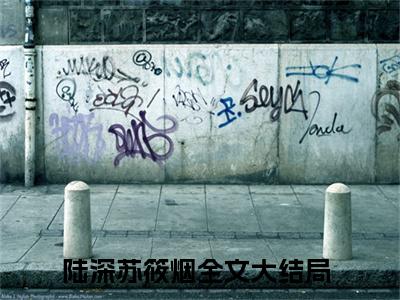 高赞小说（陆深苏筱烟）完结阅读_陆深苏筱烟全文完整版免费阅读最新章节列表