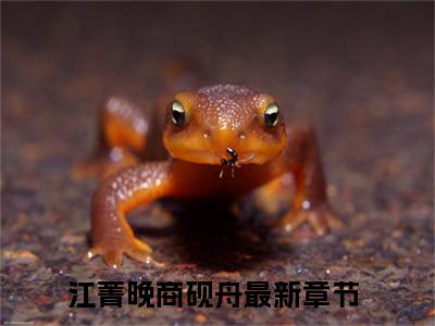 江菁晚商砚舟全文（江菁晚商砚舟免费阅读）全文免费阅读无弹窗大结局_江菁晚商砚舟最新章节列表_笔趣阁（江菁晚商砚舟免费阅读）