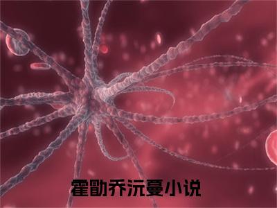 霍勖乔沅蔓(霍勖乔沅蔓小说)全文免费阅读无弹窗大结局_霍勖乔沅蔓小说免费阅读最新章节列表_笔趣阁（霍勖乔沅蔓小说）