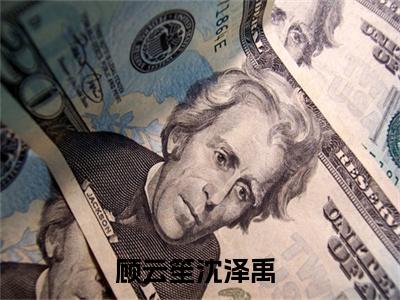 顾云笙沈泽禹全文免费阅读（顾云笙沈泽禹小说）全文免费阅读无弹窗大结局_（顾云笙沈泽禹全文免费阅读无弹窗）顾云笙沈泽禹小说最新章节列表_笔趣阁（顾云笙沈泽禹）