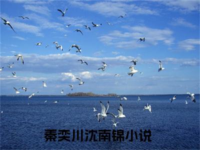 秦奕川沈南锦小说全文无删减版 秦奕川沈南锦在线阅读