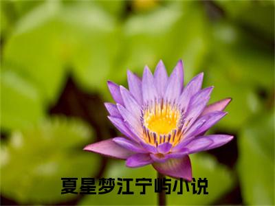 夏星梦江宁屿人气小说在线阅读-正版小说《夏星梦江宁屿》夏星梦江宁屿全文阅读