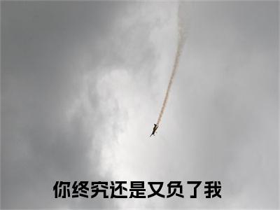 孟萱宛崔云斓全文免费阅读无弹窗大结局-你终究还是又负了我全文在线阅读最新章节列表_笔趣阁