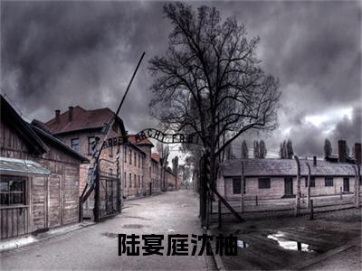 陆宴庭沈柚(陆宴庭沈柚小说)全文免费阅读无弹窗大结局_陆宴庭沈柚小说免费阅读最新章节列表_笔趣阁（陆宴庭沈柚小说）